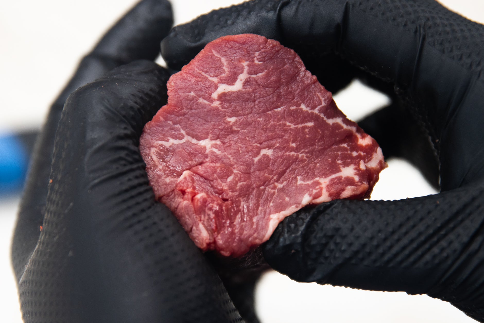 Canadian Prime filet mignon