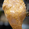 Organic Chili-Lime-Cilantro Chicken Breast