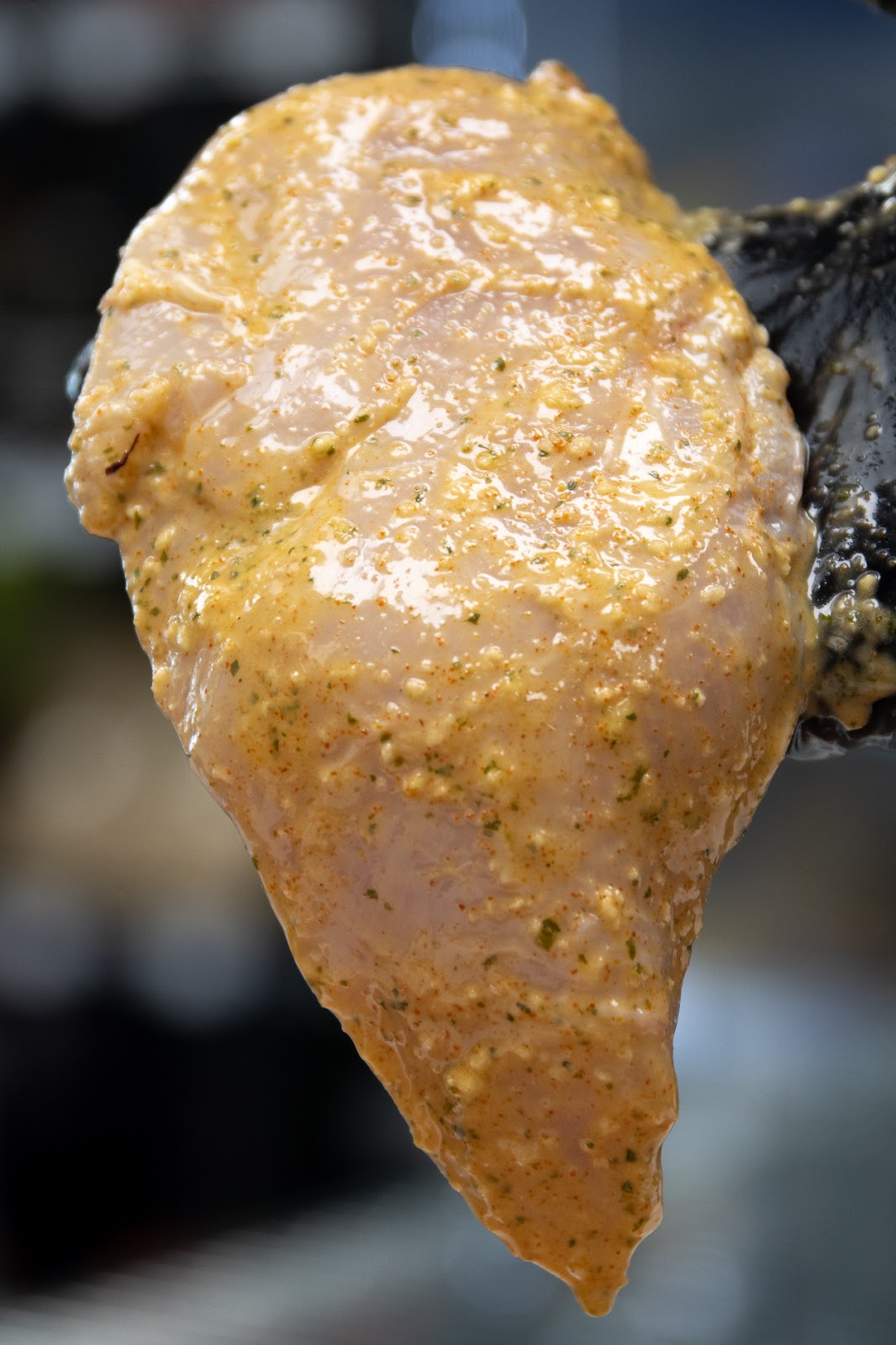 Organic Chili-Lime-Cilantro Chicken Breast