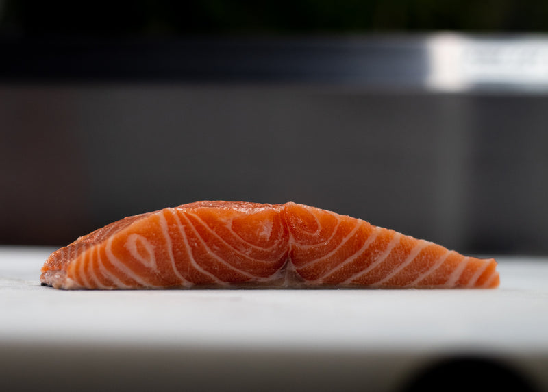 Ora King Salmon fillet, the Wagyu of the sea