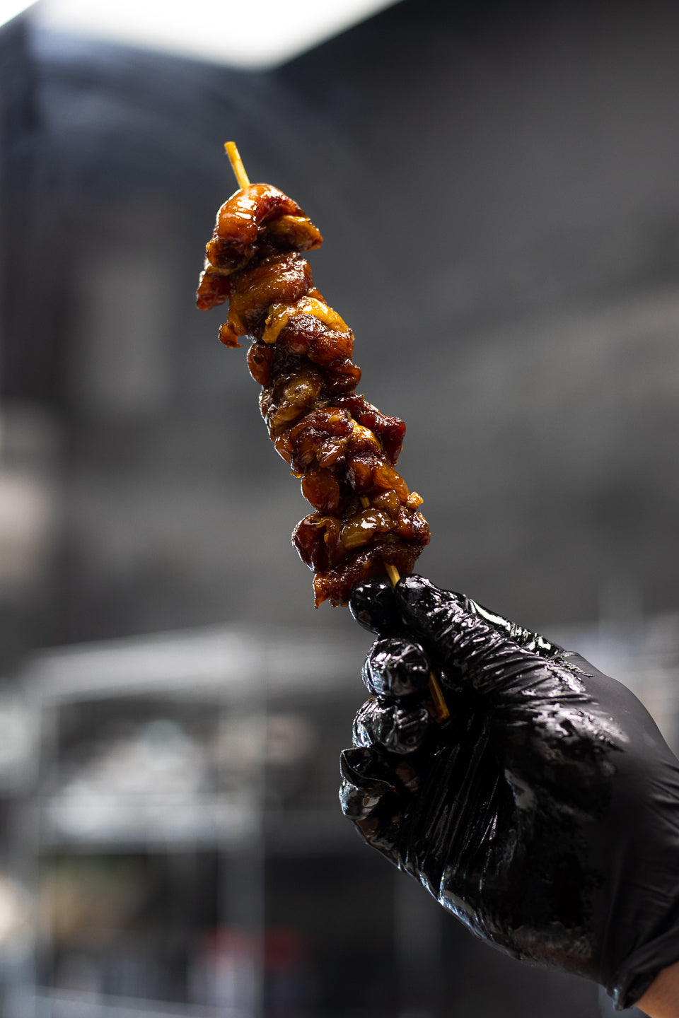 Teriyaki Chicken Skewer