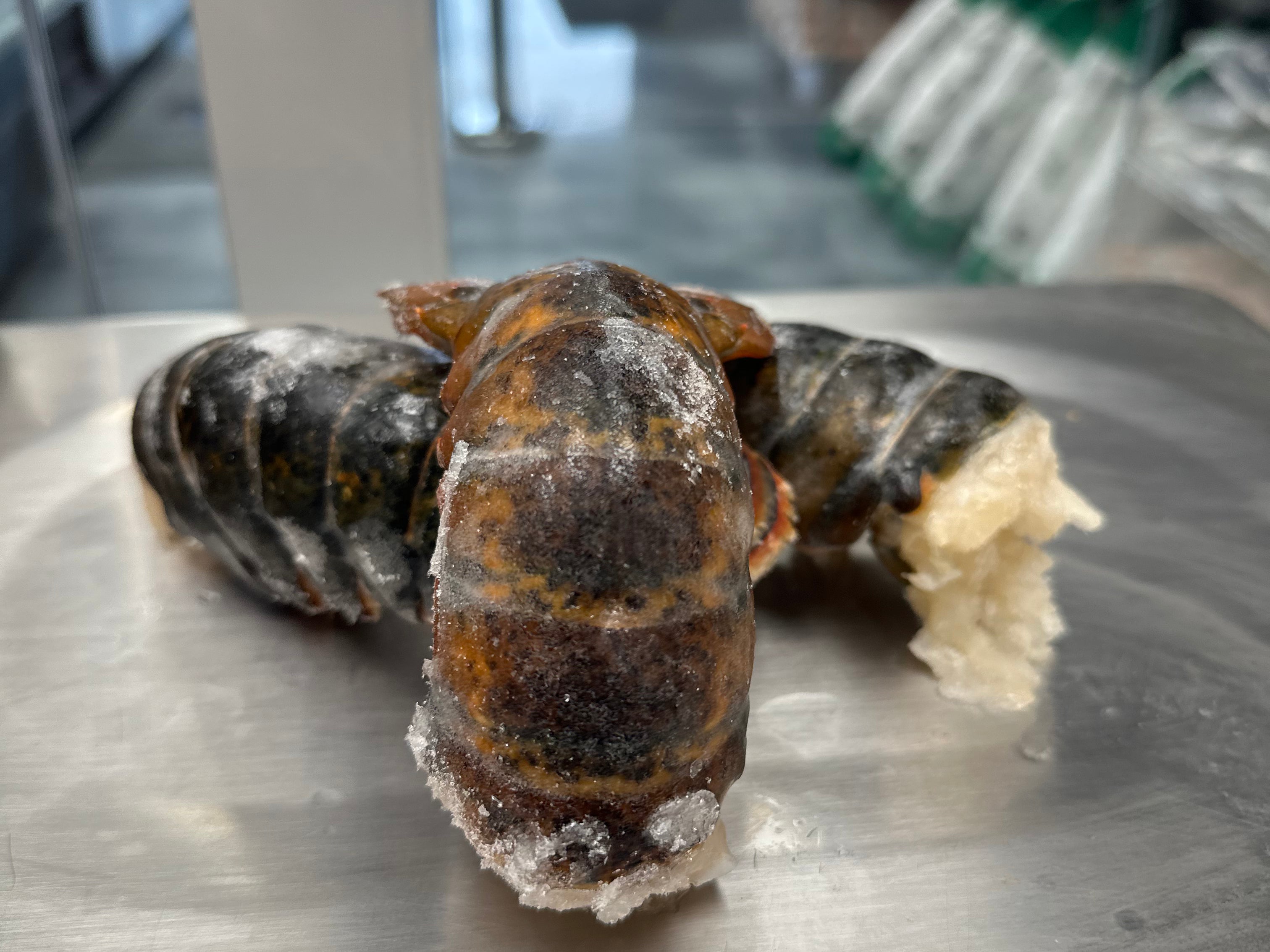 Wild Canadian Lobster Tail