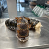 Wild Canadian Lobster Tail