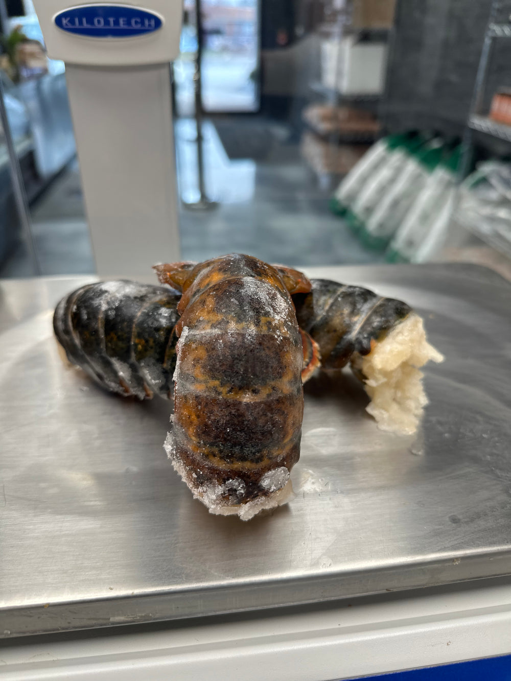 Wild Canadian Lobster Tail